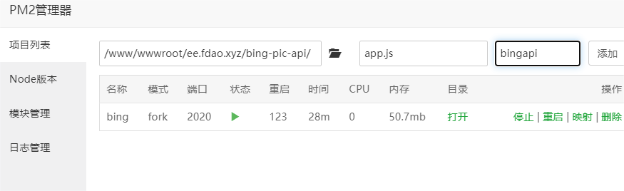 PM2管理器安装bing api项目