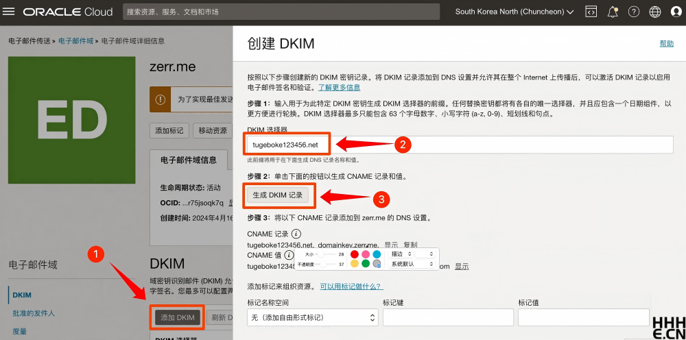 Oracle Cloud 免费邮箱配置 SPF